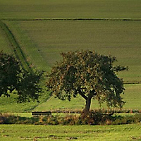 Rhein-Main-Gebiet