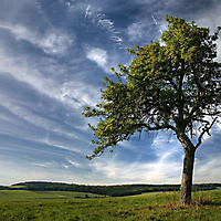 Rhein-Main-Gebiet