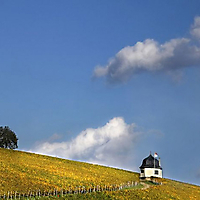 Rhein-Main-Gebiet