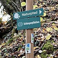 Hiwweltour Aulheimer Tal