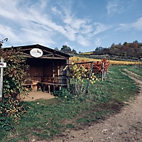 Hiwweltour Heideblick