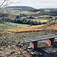 Hiwweltour Heideblick