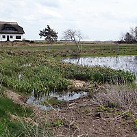 Hiddensee