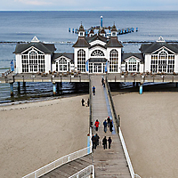 Seelin