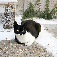 Samos