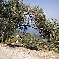 Samos