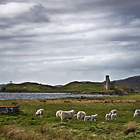 Schottland