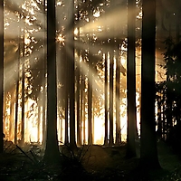 Stimmungen