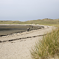 Sylt