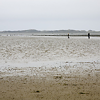 Sylt