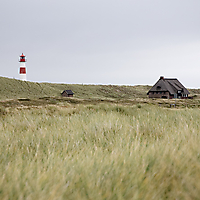 Sylt