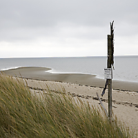 Sylt