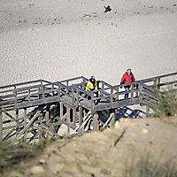 Sylt