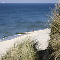 Sylt