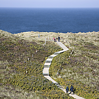 Sylt