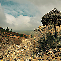 Teneriffa