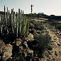 Teneriffa