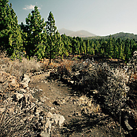 Teneriffa