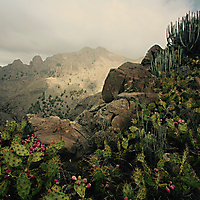 Teneriffa