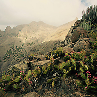 Teneriffa