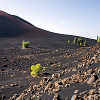 Teneriffa