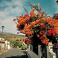 Teneriffa