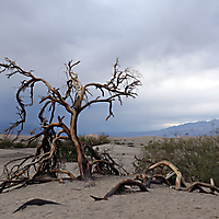 Death Valley