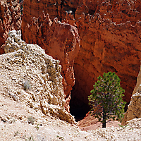 Bryce Canyon