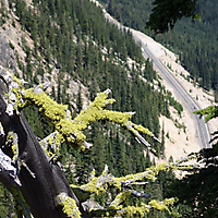 North Cascades, Glacier NP