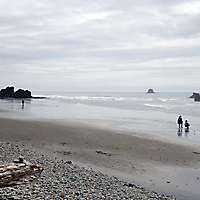 Olympic NP