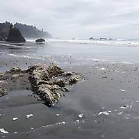 Olympic NP