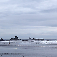 Olympic NP