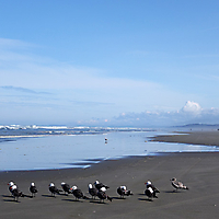 Olympic NP
