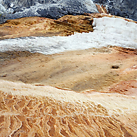 Yellowstone NP