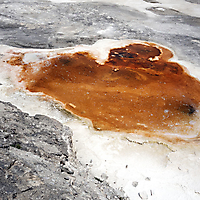 Yellowstone NP