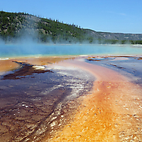 Yellowstone NP
