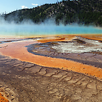 Yellowstone NP