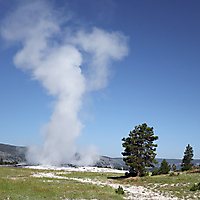 Yellowstone NP