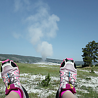 Yellowstone NP