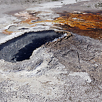 Yellowstone NP