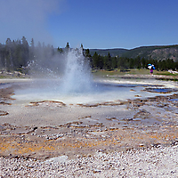 Yellowstone NP
