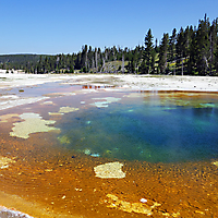 Yellowstone NP