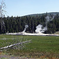 Yellowstone NP