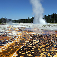 Yellowstone NP
