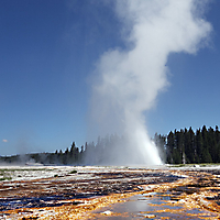 Yellowstone NP