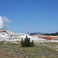 Yellowstone NP