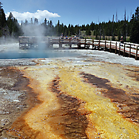 Yellowstone NP
