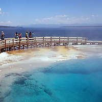 Yellowstone NP