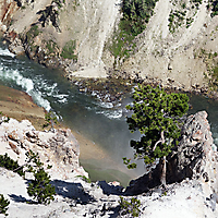 Yellowstone NP