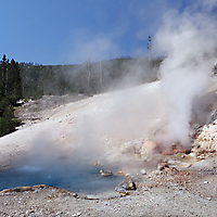 Yellowstone NP